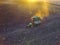 Sunflower harvest,Pampas, Patagonia, Argentina