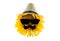 Sunflower with a hat, black glasses and a mustache on a transparent background