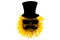 Sunflower with a hat, sunglasses and mustache (close-up) on a transparent background