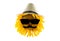 Sunflower with a hat, sunglasses and mustache (close-up) on a transparent background