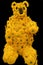 Sunflower Helianthus annuus Teddy Bear