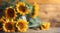 Sunflower on horizontal blur background with copy space