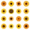 Sunflower icons set, flat style