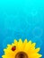 Sunflower and ladybird on blue background.