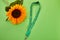 Sunflower lanyard, symbol of people with invisible or hidden disabilities.