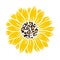 Sunflower leopard print vector illustration for chirt