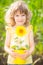 Sunflower in metal bucket