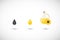 Sunflower oil flat icons set with round shadows