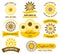 Sunflower oil logo set