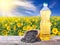 Sunflower oil in plastic bottle