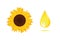 Sunflower oil yellow drop