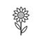 Sunflower Outline Flat Icon on White