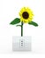 Sunflower over energy plug