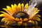 Sunflower over water with splash of water around it, in a black and reflective environment. Generative AI_3