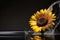 Sunflower over water with splash of water around it, in a black and reflective environment. Generative AI_4