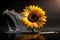 Sunflower over water with splash of water around it, in a black and reflective environment. Generative AI_5