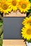 Sunflower panel shield