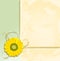 Sunflower Parchment