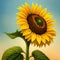 Sunflower photo AI