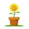 Sunflower in pot on the ground vector detail illustration