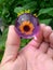 Sunflower through purple sphere