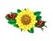 Sunflower and red viburnum - symbol of Ukraine isolated on a white background.