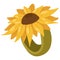 Sunflower ring desigh element for greeting cards,banners.