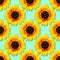 Sunflower seamless background. Bright yellow sunflowers on blue background. Floral pattern