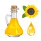 Sunflower seed oil in glass bottle and drop isolated on white. Vector illustration.