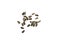 Sunflower Seeds Pile, Striped Raw Seeds Isolated Top View