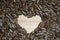 Sunflower seeds texture make heart shape on middle of picture background