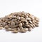 sunflower seeds on white background