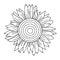 Sunflower simple drawing outline for coloring book