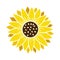 Sunflower simple icon. Flower silhouette vector illustration. Sunflower graphic logo, hand drawn icon for packaging