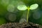 Sunflower sprout on bokeh background.(horizontal)