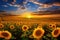 Sunflower Symphony: vibrant panorama of sunflower fields stretching as far as the eye can see