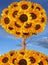 Sunflower tree collage