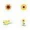 sunflower vector icon design