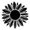 Sunflower vector illustration in black color