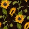 Sunflower vector seamless pattern floral texture on black background