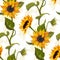 Sunflower vector seamless pattern floral texture on bright background