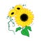 Sunflower vector, Woman face silhouette and sunflowers. Colorful print for t-shirt, card, poster, vector illustration