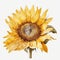 sunflower water color painting on white background generative AI