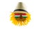 Sunflower wearing a hat and glasses in the form of the Hungarian flag