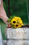 Sunflower wedding bouquet on the stone well