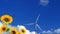 Sunflower and wind-turbine