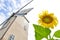 Sunflower with wind turbine