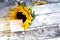 Sunflower on wooden background