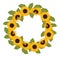 Sunflower Wreath on White Background. Vector Sunflower Wreath