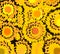 Sunflower yellow background